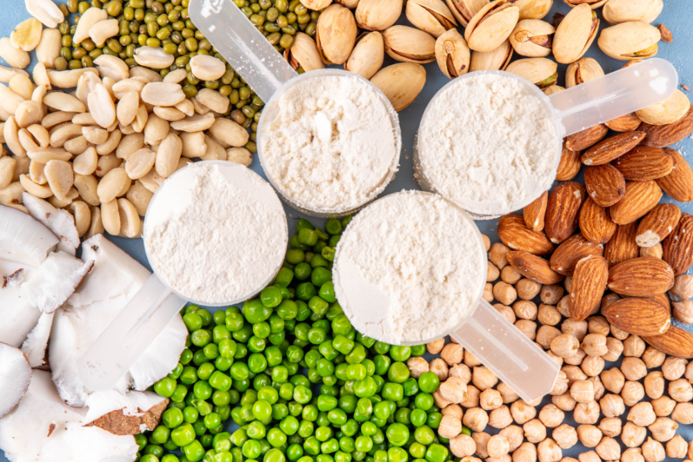 Dlaczego białko roślinne może uratować Twój układ trawienny (i wyniki na siłowni)?